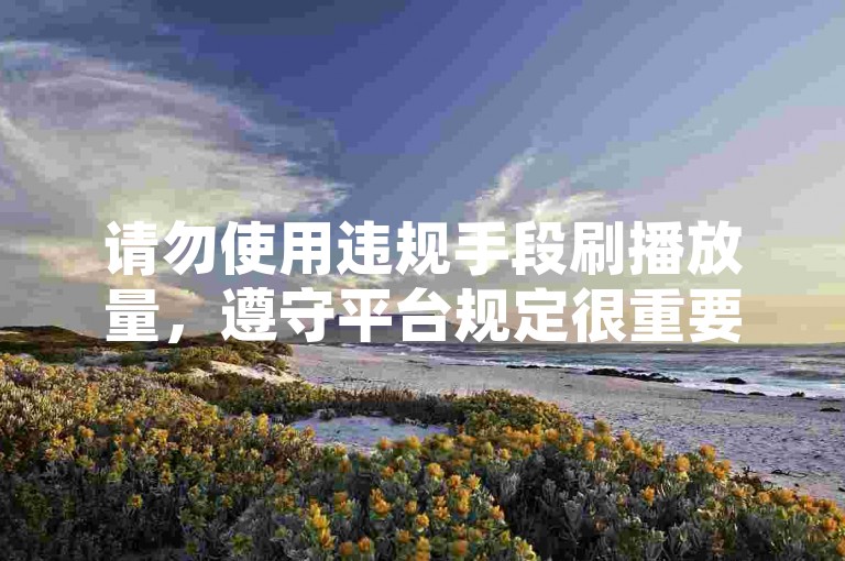 请勿使用违规手段刷播放量，遵守平台规定很重要。