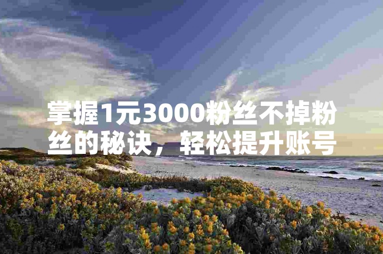 掌握1元3000粉丝不掉粉丝的秘诀，轻松提升账号影响力。