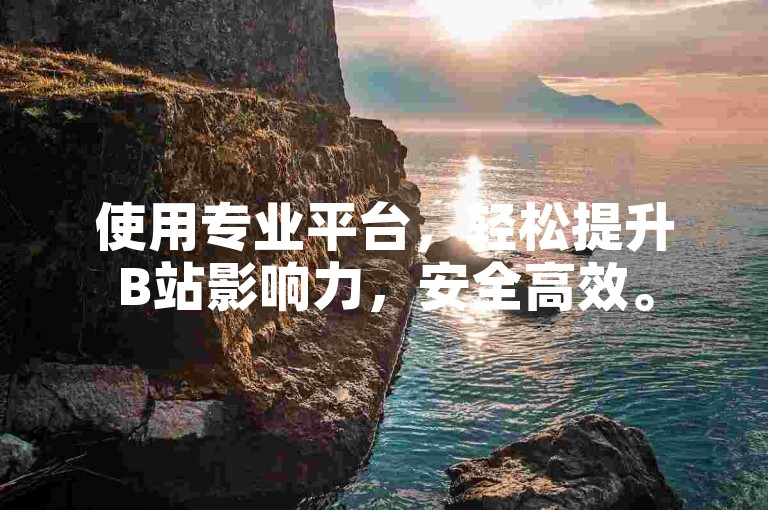 使用专业平台，轻松提升B站影响力，安全高效。