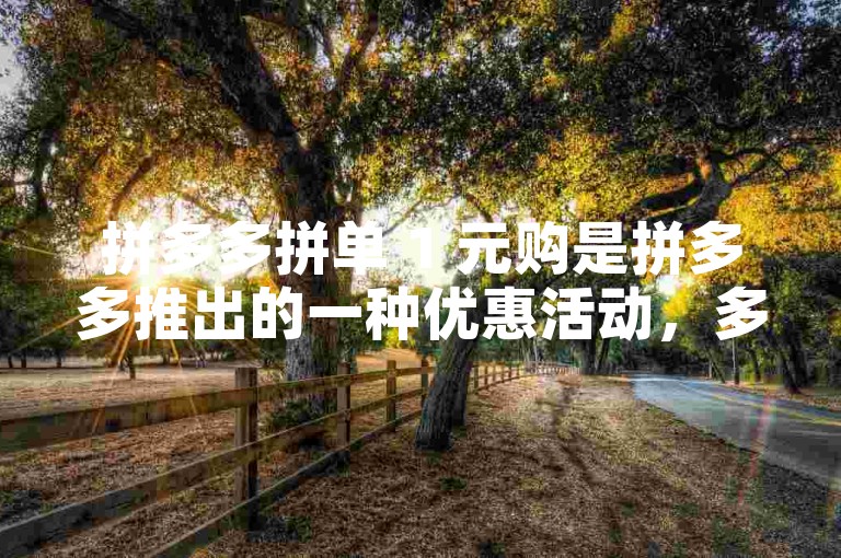 拼多多拼单 1 元购是拼多多推出的一种优惠活动，多人拼单可享超低价。