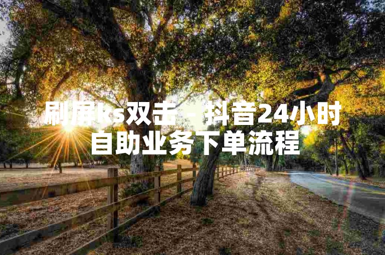 刷屏ks双击 - 抖音24小时自助业务下单流程