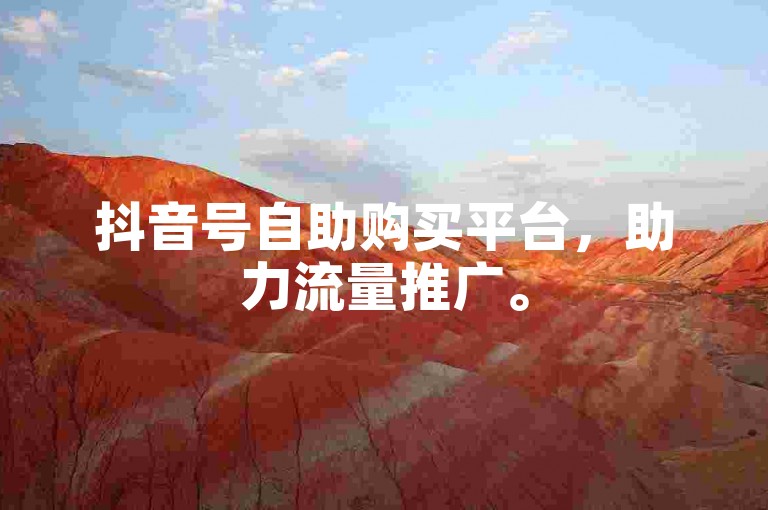 抖音号自助购买平台，助力流量推广。