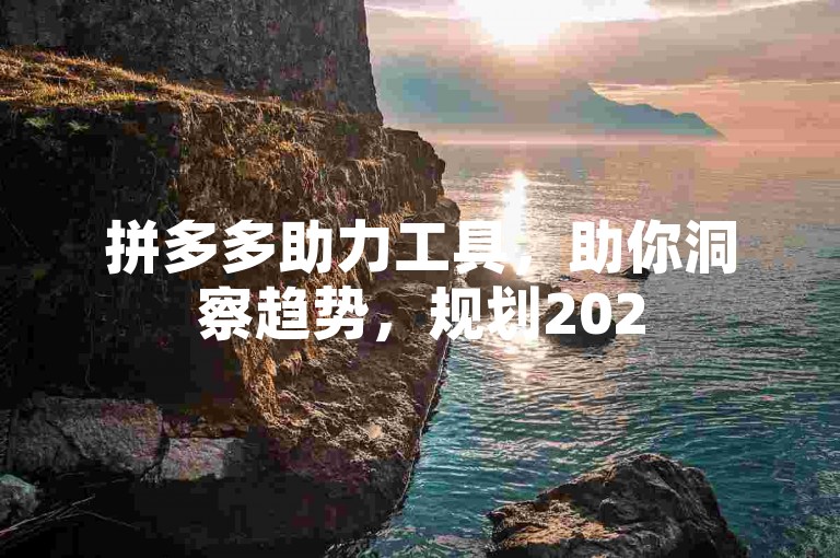 拼多多助力工具，助你洞察趋势，规划2025发展。