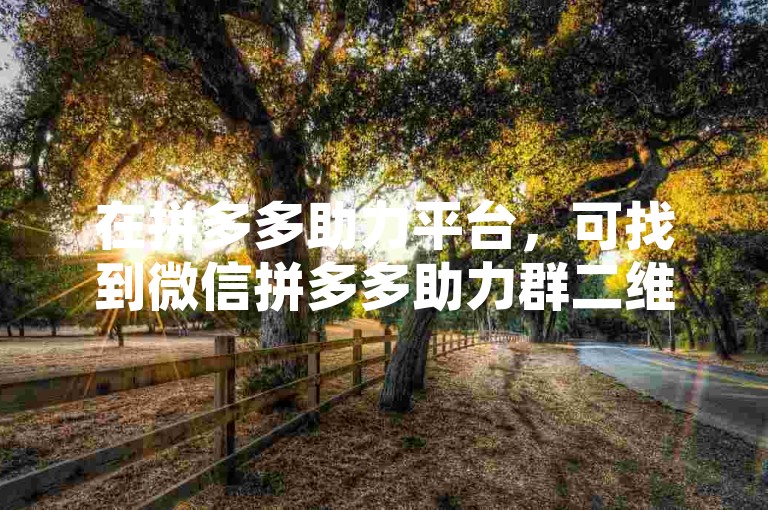 在拼多多助力平台，可找到微信拼多多助力群二维码。