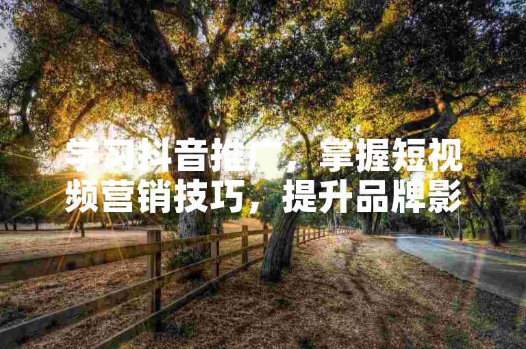 学习抖音推广，掌握短视频营销技巧，提升品牌影响力。
