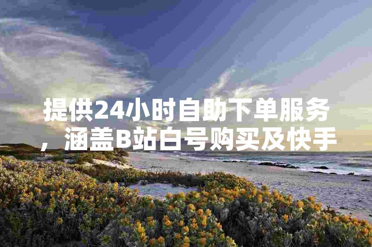 提供24小时自助下单服务，涵盖B站白号购买及快手粉丝增长。