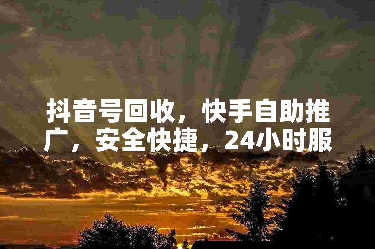 抖音号回收，快手自助推广，安全快捷，24小时服务。