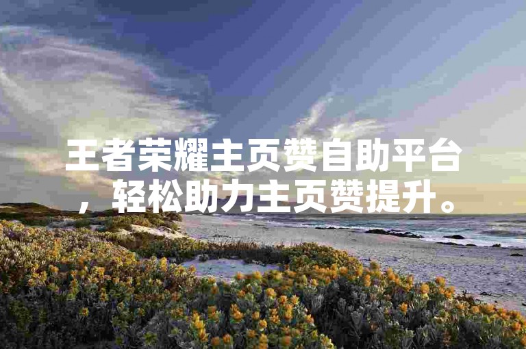 王者荣耀主页赞自助平台，轻松助力主页赞提升。