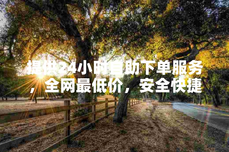 提供24小时自助下单服务，全网最低价，安全快捷。