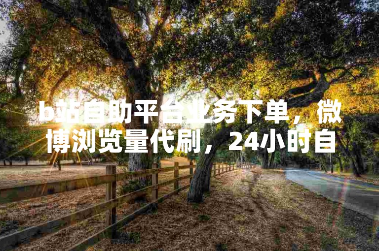 b站自助平台业务下单，微博浏览量代刷，24小时自助操作。