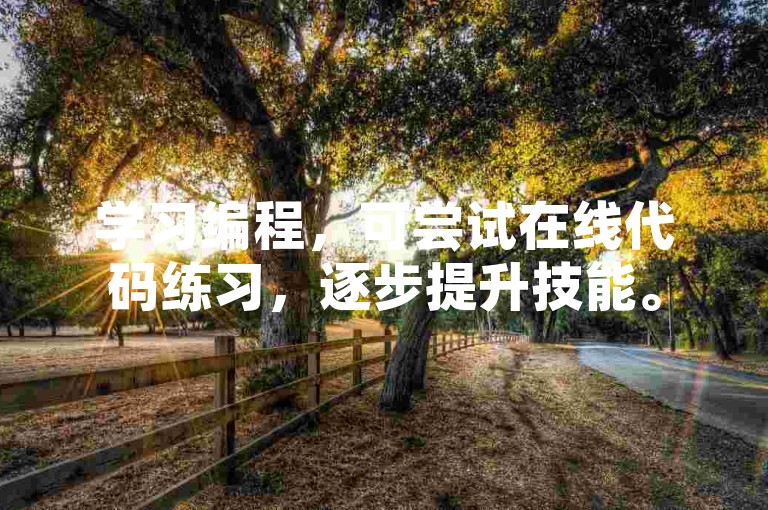 学习编程，可尝试在线代码练习，逐步提升技能。