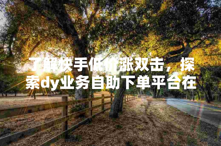 了解快手低价涨双击，探索dy业务自助下单平台在线网站。