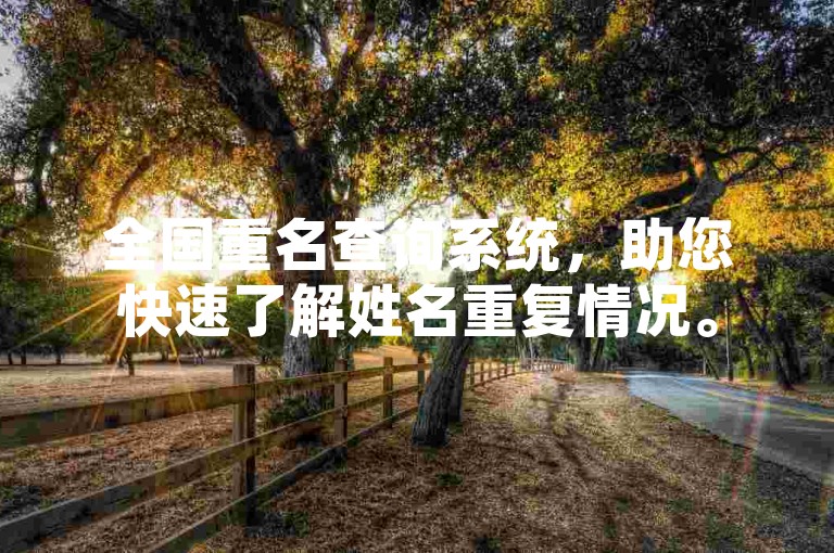 全国重名查询系统，助您快速了解姓名重复情况。