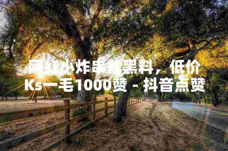网红小炸串儿黑料，低价Ks一毛1000赞 - 抖音点赞平台 - b站账号交易网