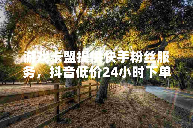 游戏卡盟提供快手粉丝服务，抖音低价24小时下单。