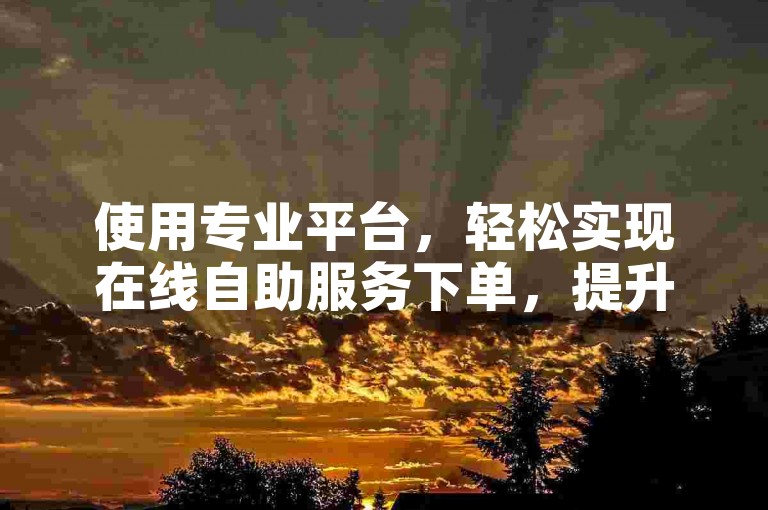 使用专业平台，轻松实现在线自助服务下单，提升效率。