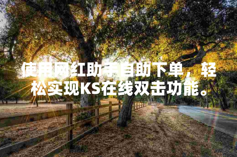 使用网红助手自助下单，轻松实现KS在线双击功能。