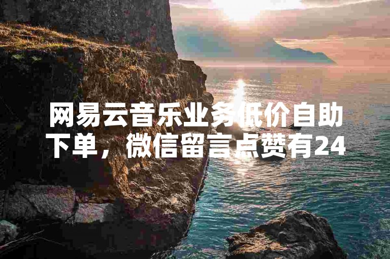网易云音乐业务低价自助下单，微信留言点赞有24小时自助服务。
