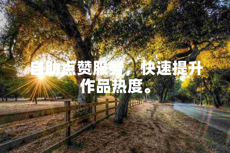 自助点赞服务，快速提升作品热度。