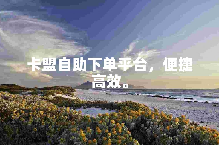 卡盟自助下单平台，便捷高效。