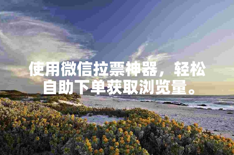 使用微信拉票神器，轻松自助下单获取浏览量。