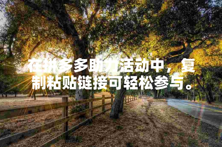 在拼多多助力活动中，复制粘贴链接可轻松参与。