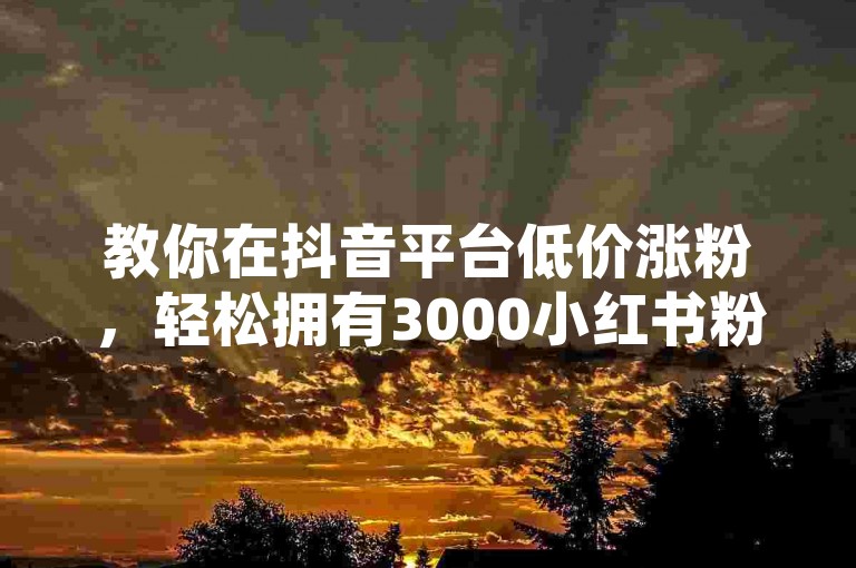 教你在抖音平台低价涨粉，轻松拥有3000小红书粉丝。