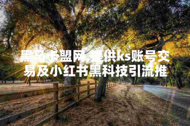 黑马卡盟网,提供ks账号交易及小红书黑科技引流推广服务。