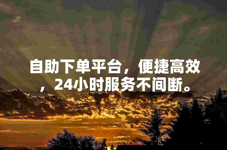 自助下单平台，便捷高效，24小时服务不间断。