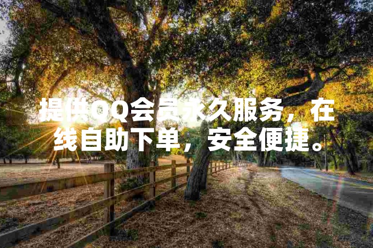 提供QQ会员永久服务，在线自助下单，安全便捷。