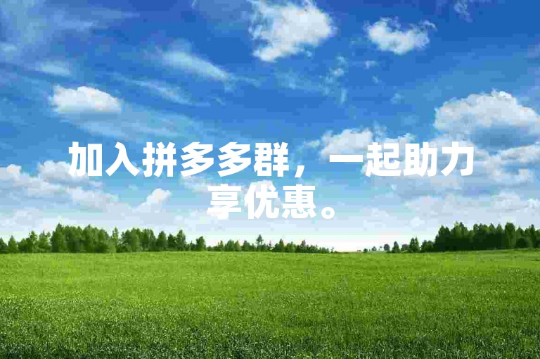 加入拼多多群，一起助力享优惠。