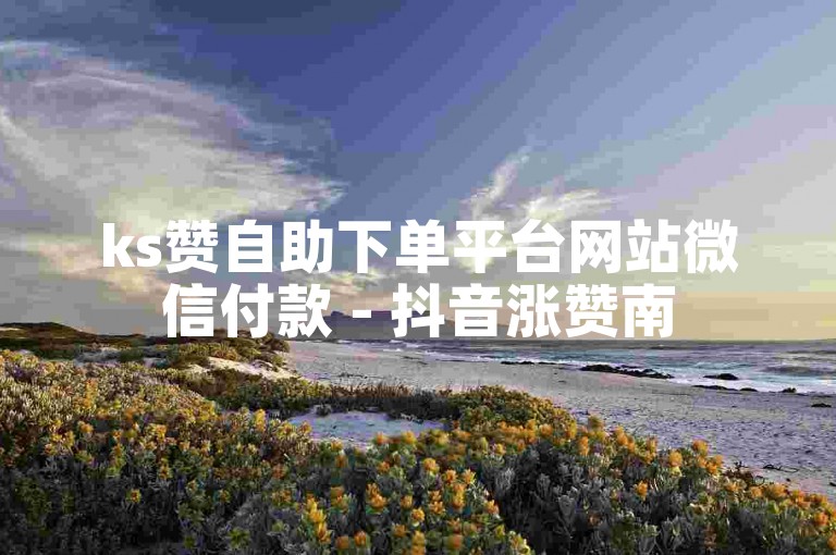 ks赞自助下单平台网站微信付款 - 抖音涨赞南