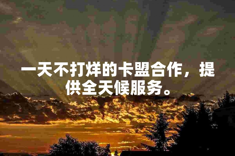 一天不打烊的卡盟合作，提供全天候服务。