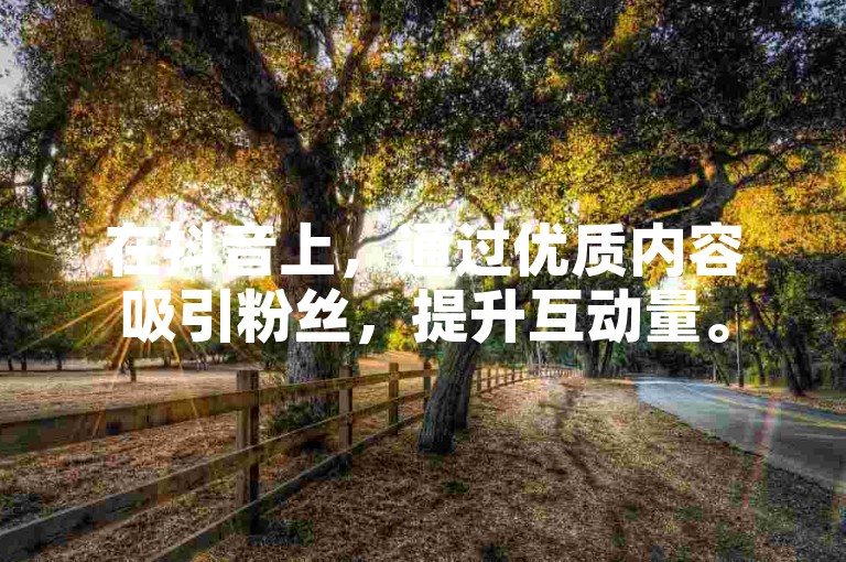 在抖音上，通过优质内容吸引粉丝，提升互动量。