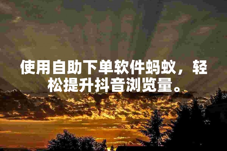 使用自助下单软件蚂蚁，轻松提升抖音浏览量。