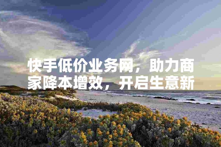 快手低价业务网，助力商家降本增效，开启生意新篇。