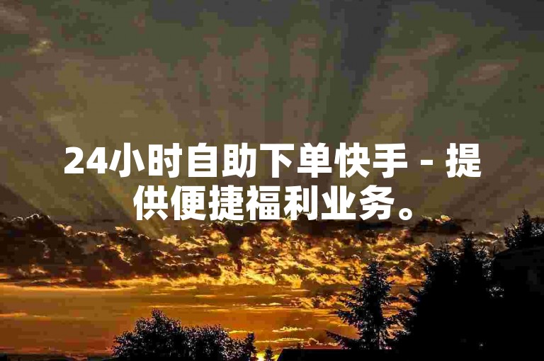 24小时自助下单快手 - 提供便捷福利业务。