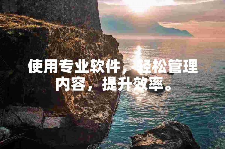 使用专业软件，轻松管理内容，提升效率。