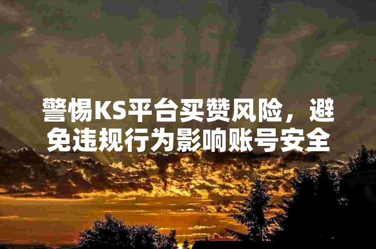 警惕KS平台买赞风险，避免违规行为影响账号安全。