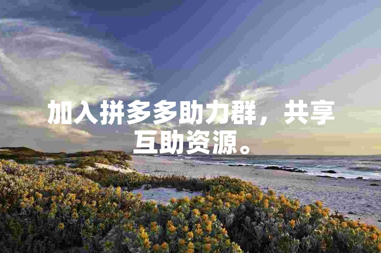 加入拼多多助力群，共享互助资源。