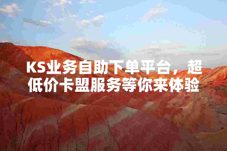KS业务自助下单平台，超低价卡盟服务等你来体验。
