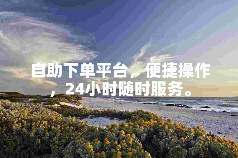 自助下单平台，便捷操作，24小时随时服务。