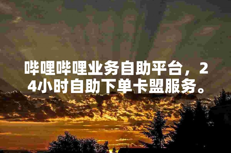 哔哩哔哩业务自助平台，24小时自助下单卡盟服务。