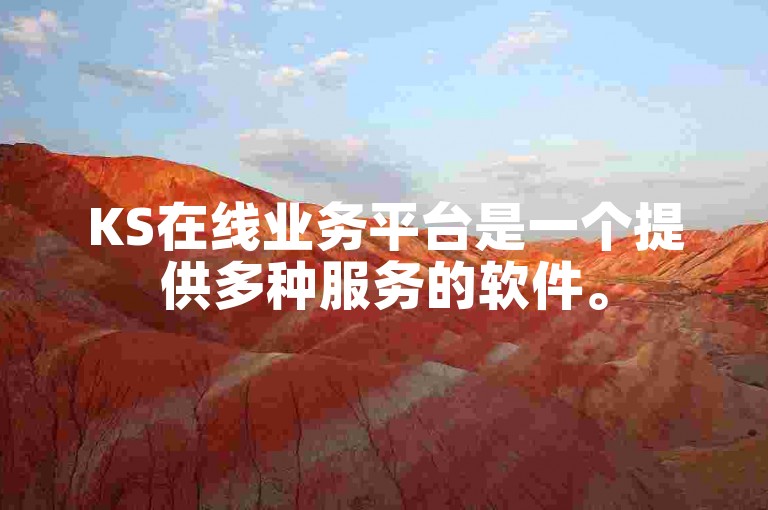 KS在线业务平台是一个提供多种服务的软件。