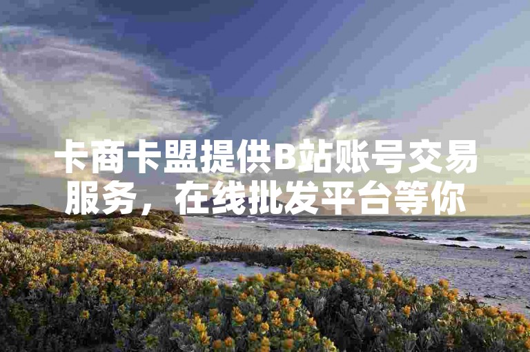 卡商卡盟提供B站账号交易服务，在线批发平台等你体验。