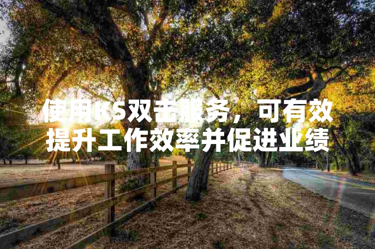 使用KS双击服务，可有效提升工作效率并促进业绩增长。
