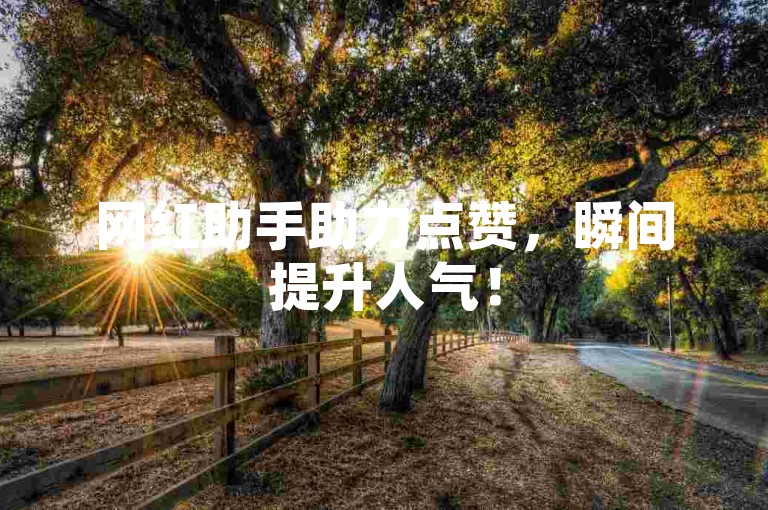 网红助手助力点赞，瞬间提升人气！