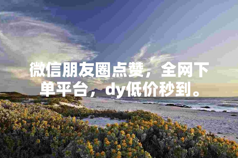 微信朋友圈点赞，全网下单平台，dy低价秒到。