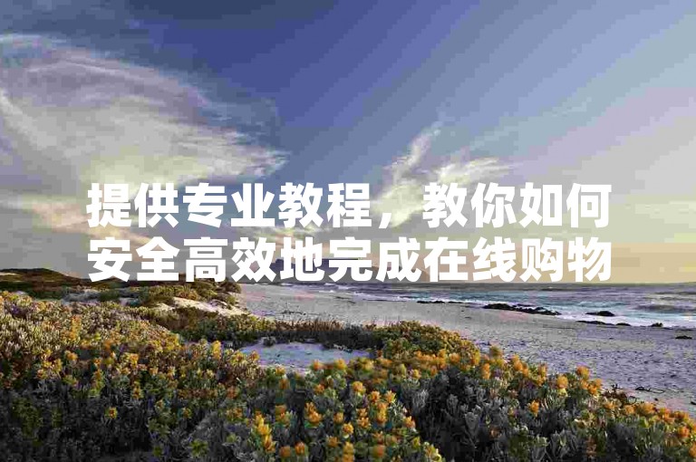 提供专业教程，教你如何安全高效地完成在线购物。