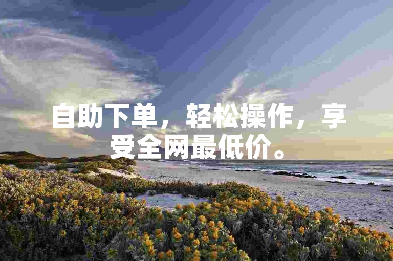 自助下单，轻松操作，享受全网最低价。